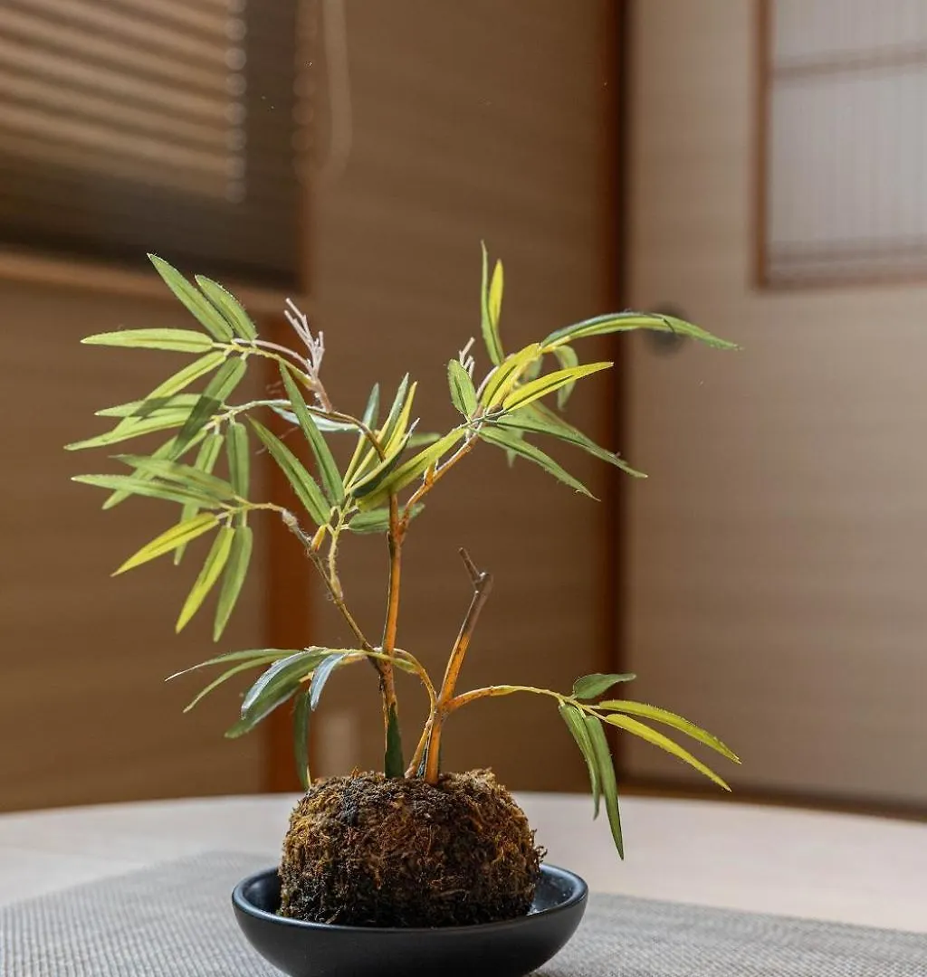 Сasa de vacaciones Bijou Suites Will Osaka